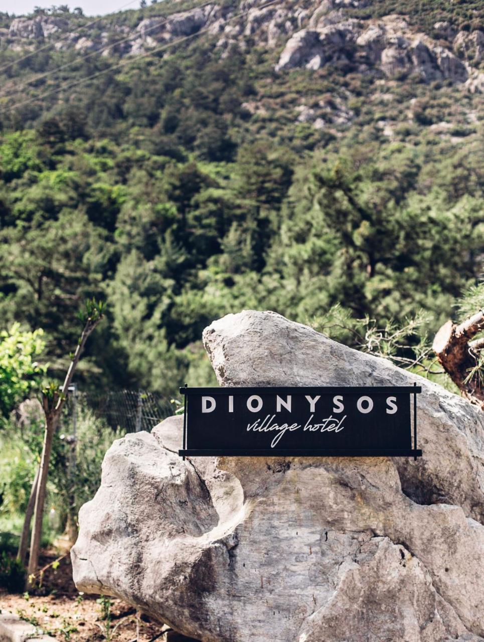 Dionysos Village Hotel Marmaris ทูรุนช์ ภายนอก รูปภาพ